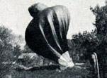 The balloon had an explosive-activated 'pop top' like the earliest Ravens